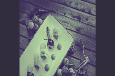 Extraordinary Indoor Dining