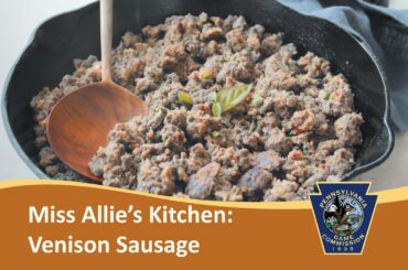 Miss Allie's Kitchen Venison Italian Sausage