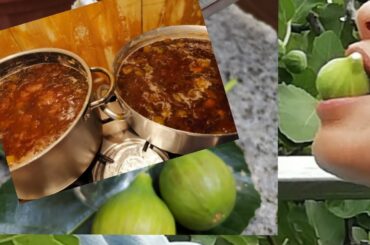 How to make fig Jam? #Buhay probinsya Italy #homemade FIG JAM