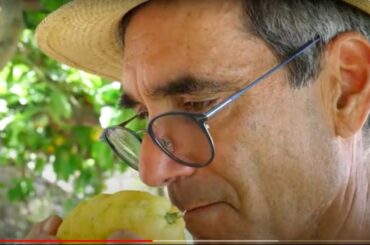South of Somewhere: Wine, Food and the Soul of Italy Book Trailer #2 (The Bounty)