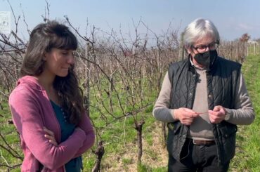 Roots in wine Ep1 - Domenico Tappero Merlo, Italian wine, Piedmont, Erbaluce di Caluso (Sub Eng)