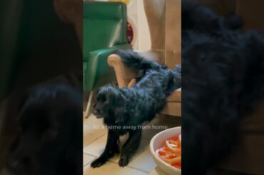 A Home Away From Home in Campania Italy