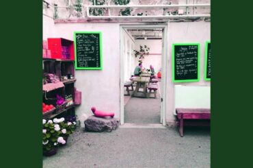 Fun Ambiance for Italian Restaurants