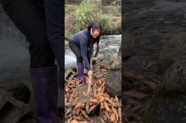 Cooking Eating Yummy Foods