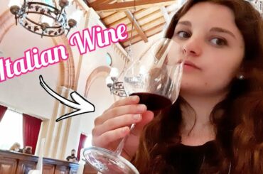 ITALIAN WINE TASTING, LAGO DE GARDA & NIGHT OUT (subtitles in english) | Catherine Official