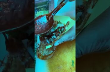 Cooking Food , Cook Expert Tasty #short EP408