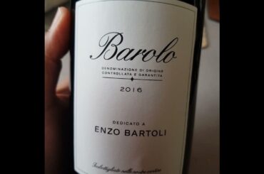 Red wine #shorts #wine #redwine #barolo #2016wine #tastetest #italianwines