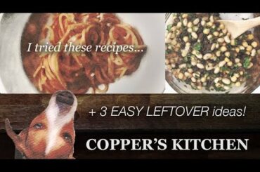 EASY LEFTOVER IDEAS for Tomato Sauce & Italian Bean Salad recipes!