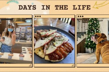 Days In The Life | Eat-Outs, New Car, Chill Days At Home