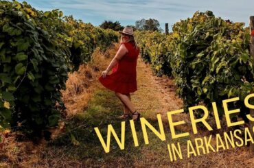 5 BUCKET LIST WINERIES (Arkansas wine country)