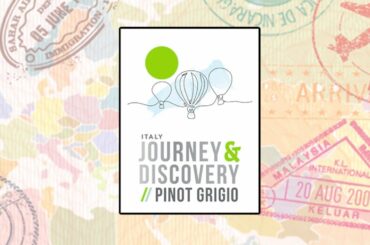 Journey & Discovery Pinot Grigio
