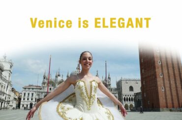 Terre del Prosecco DOC | DISCOVER VENEZIA