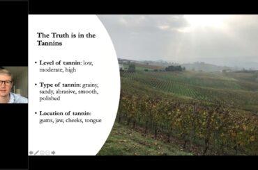 Wine Tasting by Structure Session 5: Pinot Noir, Sangiovese, Nebbiolo