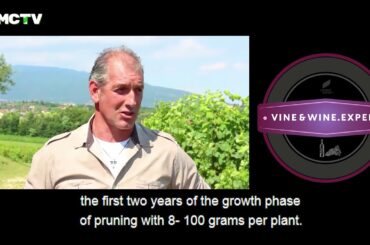 VINE & WINE EXPERT/DALLA LIBERA/ITALY/K2MC/COMPO EXPERT