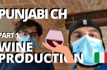 PUNJABI IN ITALY WINE KIDDAN PRODUCE HUNDI HOW TO PRODUCE WINE ITALY DE NAZARE AGRITURISMO DE LUCA