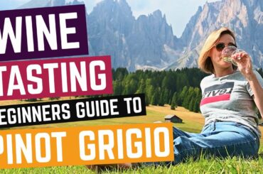WINE TASTING: The Beginners Guide to PINOT GRIGIO