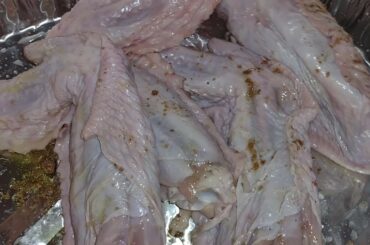 Gdepps Famous Dishes Food Tips Volume #1 Zesty Italian Turkey Wings....