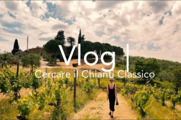 Chill Holiday in Tuscany - Winery experience 2021