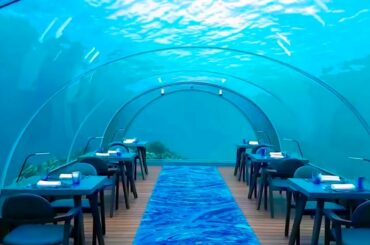 20 Craziest Restaurants That Actually Exist