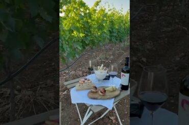 STREET FOOD  , DELECIOUS #ITALIAN FOOD #short #trend #relaxing