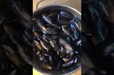 mussels with tomato sauce #shortcooking #fish #delicious #italianfood #mussels# easy recipe
