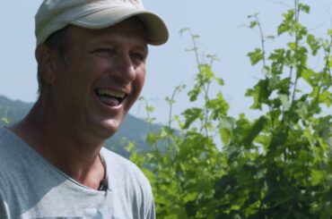 Collis Veneto Wine Group - Zamboni Silvio e Manuel