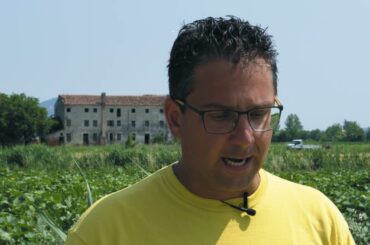 Collis Veneto Wine Group - Bressan Massimo