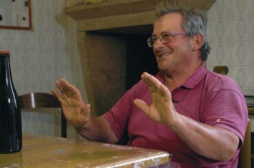 Collis Veneto Wine Group - Bevilacqua Ernesto