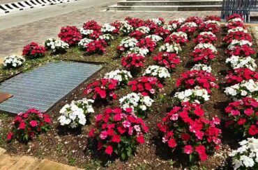 On the way to Bassano del Grappa, Italy