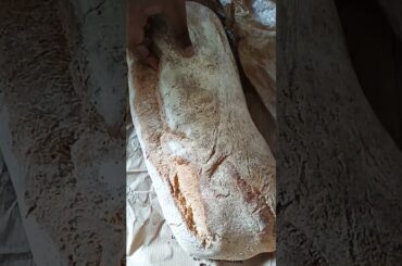 #shorts ITALIAN FRESH BREAD BE LIKE #cooking