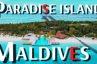 Paradise Island Resort Maldives | Full Walking Tour | Villas, Bars, Restaurants, Prices, Activity
