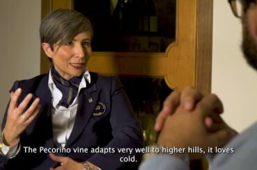 THE WINE SIDE OF ITALY - MARCHE