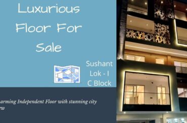 Luxury Floor for sale