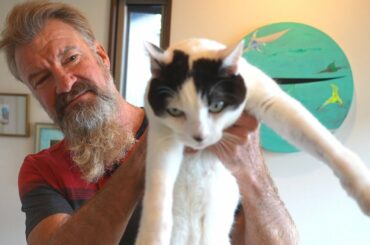 Japan Bed & Breakfast Inn (Minshiku) - Home Cooked Organic Gourmet Lunch - Eric Meal Time #615