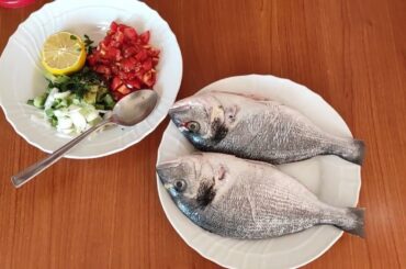 bus ride around trento Italy amazing mountain view and cooking inihaw na isda pero walang uling