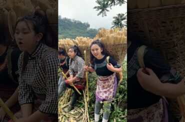 Cooking Eating Yummy Foods