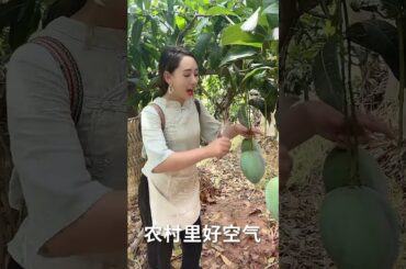 Cooking Eating Yummy Foods