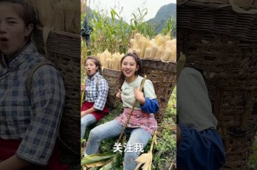 Cooking Eating Yummy Foods