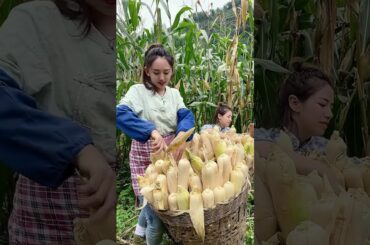 Cooking Eating Yummy Foods