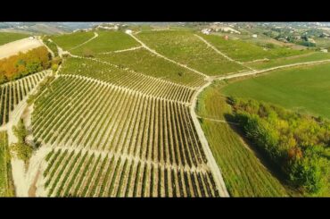 Tenuta Nerca from Piedmont, Italy