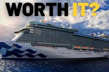 What It's REALLY Like on the Enchanted Princess