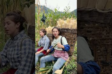 Cooking Eating Yummy Foods