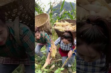 Cooking Eating Yummy Foods