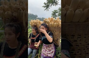 Cooking Eating Yummy Foods