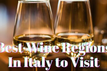Best Wine Regions In Italy to Visit