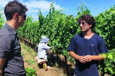 Uncork Italy 11: Bolgheri's Super Tuscans