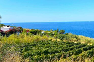 In pursuit of Sicily’s Malvasia delle Lipari wine: the nectar of the Gods