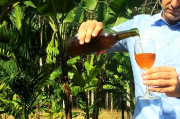 Banana Wine - How to make Wine at home from banana - Homemade Wine step by step - Easy recipe