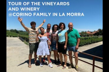 Tour of the vineyards and winery history with the Corino family