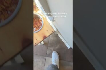 Dog Had Too Much Italian Food As A Puppy